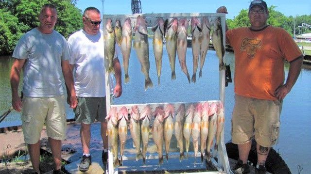 Walleye Charter on Lake Erie | 8 Hour Charter Trip